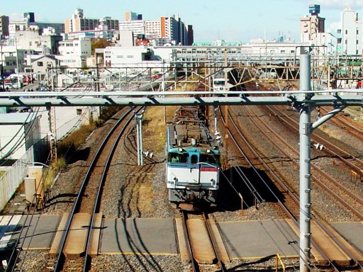 貨物列車 EF65 (蕨駅付近)