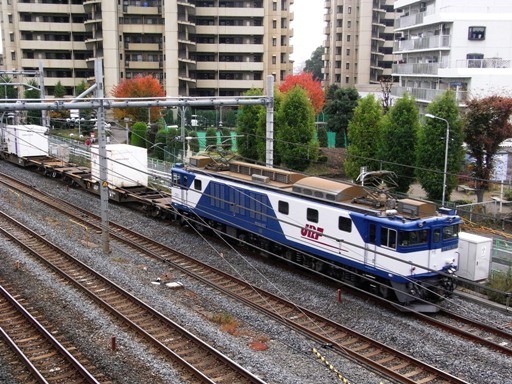 機関車 EF64-1011 (蕨駅-西川口駅 2009-11-24)