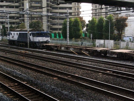 機関車 EF64-1017 (蕨駅-西川口駅 2009-11-10)