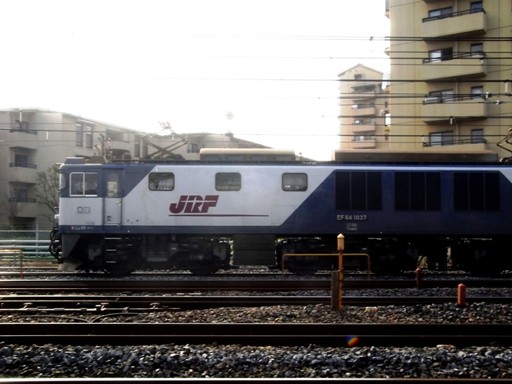 機関車 EF64-1037 (蕨駅-西川口駅 2009-12-10)