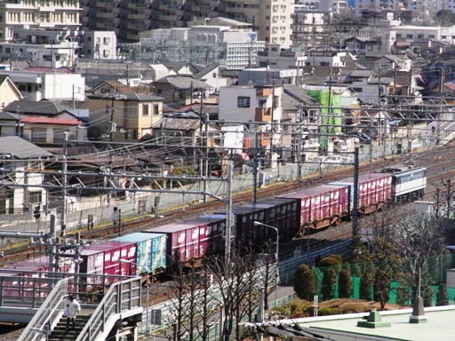 機関車 EF65-1039 (蕨駅付近 2008-2-25)