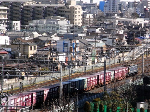 機関車 EF65-1079 (蕨駅付近 2008-2-15)