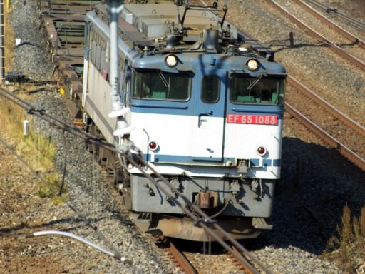 貨物列車 EF65-1088 (蕨駅付近)