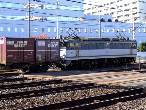機関車 EF65-1095 (蕨駅-西川口駅 2010-11-11)