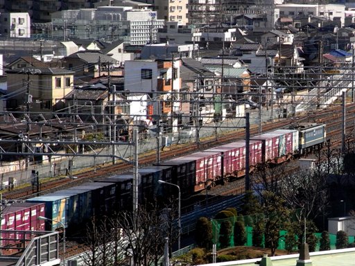機関車 EF65-1137 (蕨駅付近 2008-1-31)