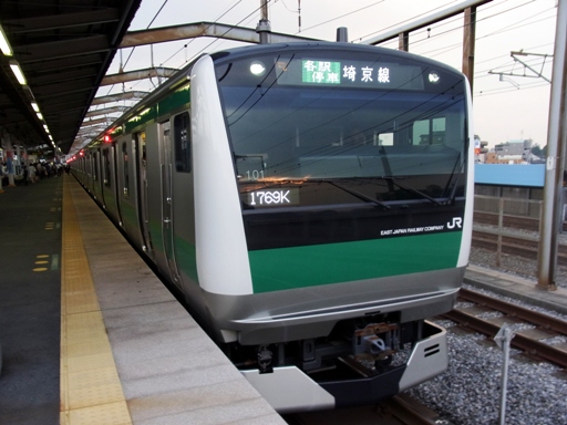 E233系101(戸田公園駅)