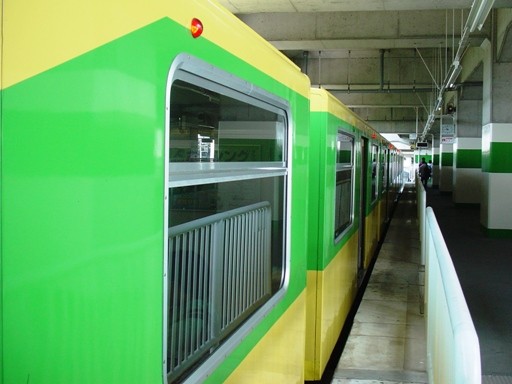 丸山駅と列車